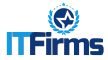 Interview with CEO & Director of Ace Infoway, Amit Mehta by ITFirms...